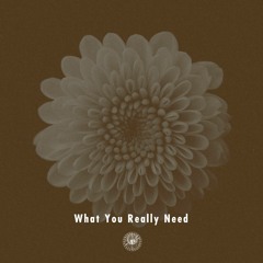 What You Really Need / AmPm feat.Miraa May