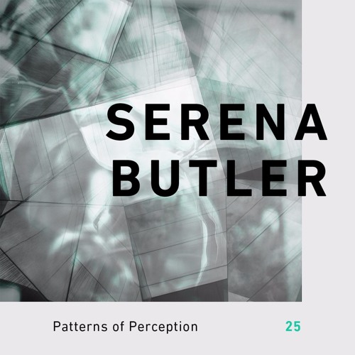 Patterns of Perception 25 - Serena Butler