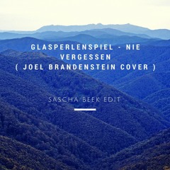 Glasperlenspiel - Nie Vergessen ( Joel Brandenstein Cover - Sascha Beek Edit)