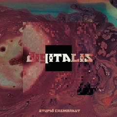 Stupid Cosmonaut - Field Trip