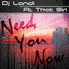 DJ Landi Ft. That Girl - Need You Now