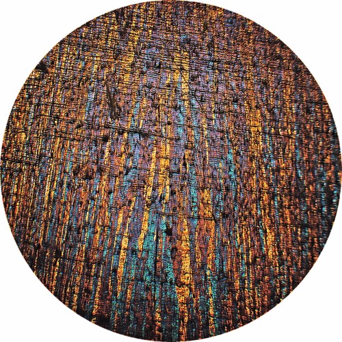 Thrilogy - Evanescence