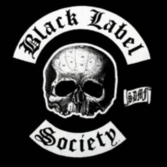 Black Label Society - Suicide Messiah (acoustic cover)