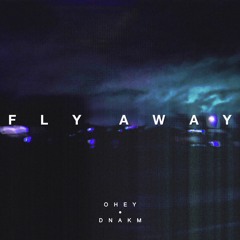 Fly Away (Feat. DNAKM)
