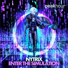 Enter The Simulation - [Peak Hour Music Release]