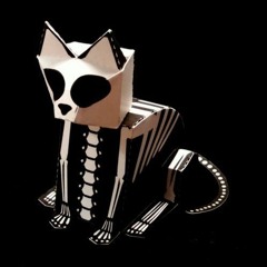 Katze Schroedinger @ Tech Hunter's Halloween 2017