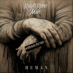 Rag'n'Bone Man - Human (Normax Remix)
