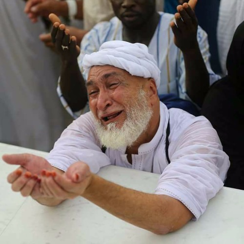 كيف لا يُحب؟ 💜 إنّه ربّي