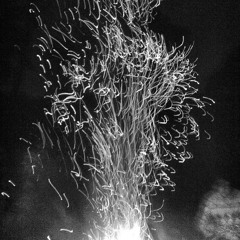 Fancy Seeing You Here