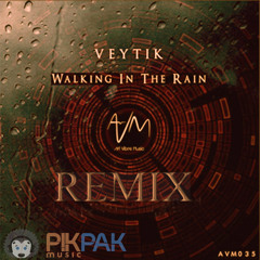 Veytik - Walking In The Rain (Pikpak Remix) [Art Vibes Music]