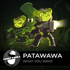 Indie Dance | Patawawa - What You Want