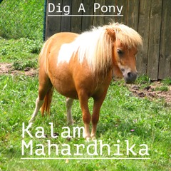 Dig A Pony (Cover)