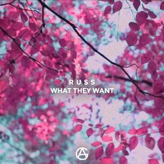 What They Want (AG Remix)