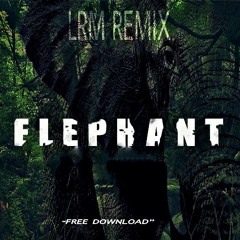 Leroy & Nikko - Elephant (LRM Remix)
