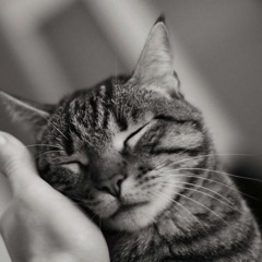 Yavuz Bingol - Nurettine Agit اغاني تركية حزينة