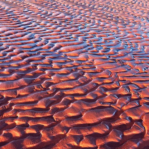 yung lean - Muddy Sea ▌│█║▌║▌║ ȼɦǿρρƹȡ ║▌║▌║█│▌