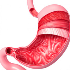 Stomach Noises Manipulated and Ambi