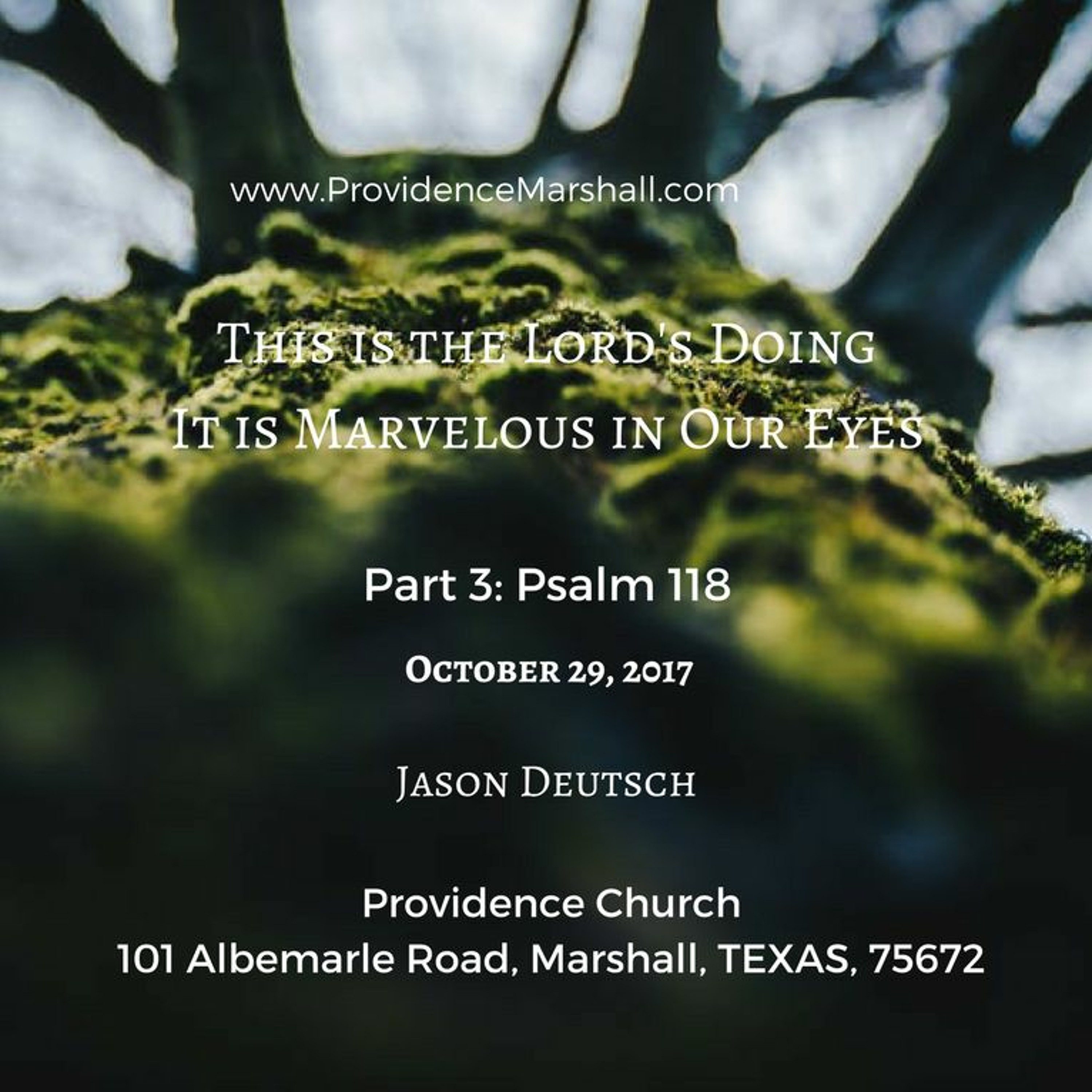 Psalm 118 | Part 3: This Is The Lords Doing It Is Marvelous In Our Eyes episode artwork