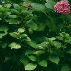 i catfished u so what