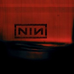 NIN- Down In It -Cover