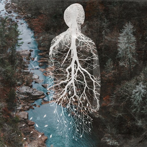 The Last Sighs Of The Wind - We Are Trees