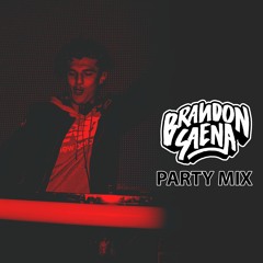 Brandon Saena - Party Mix (Hip Hop / RNB / Party) *Free Download*