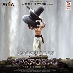 Dhivara