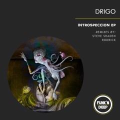 Drigo - Introspeccion (Steve Shaden RAW Mix) [FUNK'N DEEP]