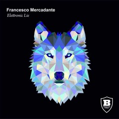 Francesco Mercadante -Elettronic Lie-