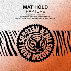 Mat Hold - Rapture (Who Knows Remix)