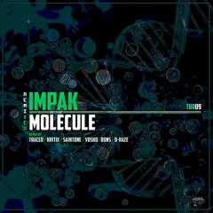 Impak - Molecule (Kritix Remix)