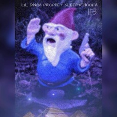 GARDEN GNOMES Ft: Prophet x SleepyChoofa (Prod: Flow beats)