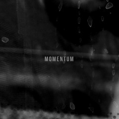 Momentum