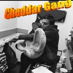 Cheddar Gang (Prod.KRich)