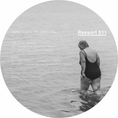 The Plant Worker - Spaceshift (Pfirter Remix) [RSI011 | Premiere]
