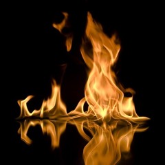 Arvid - Flame