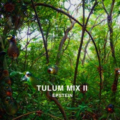 epstein (LA) - Tulum 002 (deep house / downtempo mix)