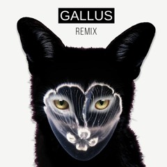 Galantis - True Feeling (GALLUS Remix) [FREE DOWNLOAD]