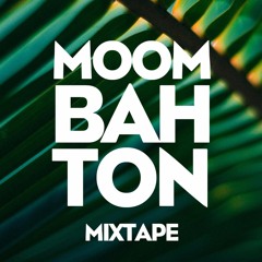 #1 Moombahton Mixtape 11/1 (DJ Set)