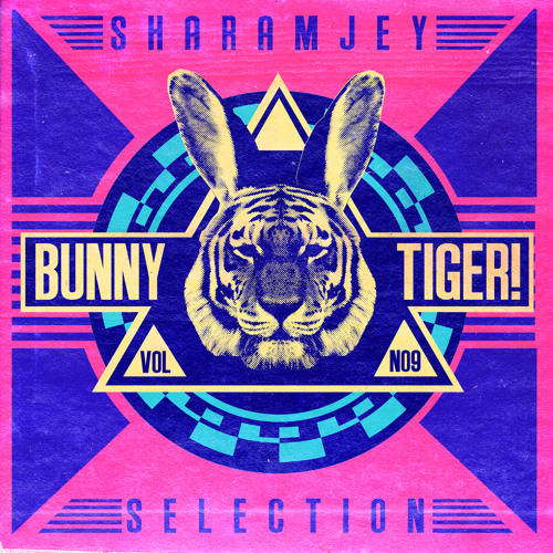 Philip Z - The Right Stuff (Preview) [Bunny Tiger] #11 House Top 100 Traxsource & #45 Overall Chart