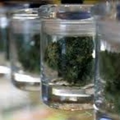 Glass Jars