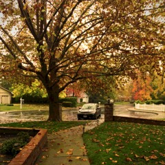 Rainy Day In November