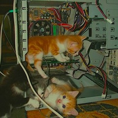 Technology Junkie (quit ya nod)