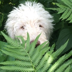 Borders  - Zsilvs, Lil KeeK(ft. Riley Thomas) Prod. LuKiKi