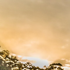 30 Seconds To Mars - Save Me