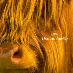 Lien de famille