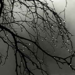 Sleeping Through the Rain