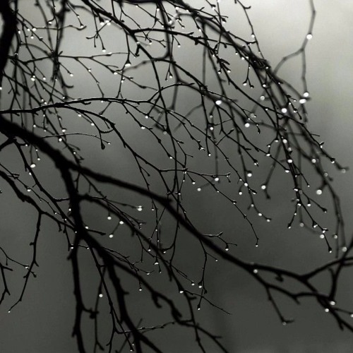 Sleeping Through the Rain