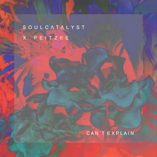 Can't Explain (Soul Catalyst X Peitzke)