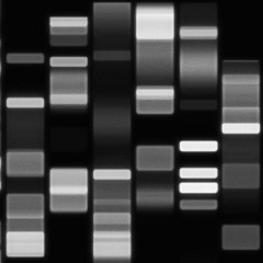 DVS NME - Subsequence